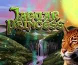 Jaguar Princess Slot Game